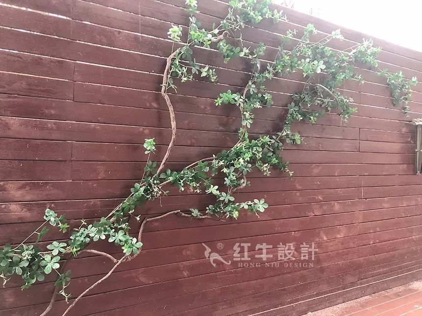 南京后宰門街75㎡北歐風格--美翻了的家庭小院07院子設(shè)計